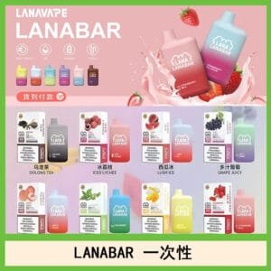 LANA BAR可充电一次性電子煙霧化5000口(3.0%)