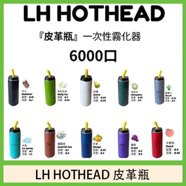 LH HOTHEAD皮革瓶電子煙可充電6000口一次性