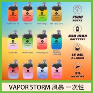 Vapor Storm風暴電子煙7500口（5%）一次性